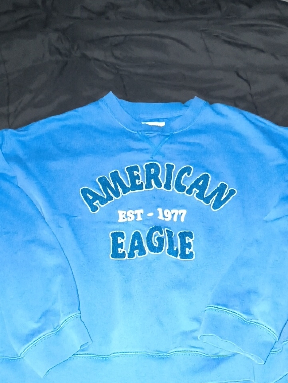 American Eagle Outfitters Blue Crewneck Sweatshirt with Logo